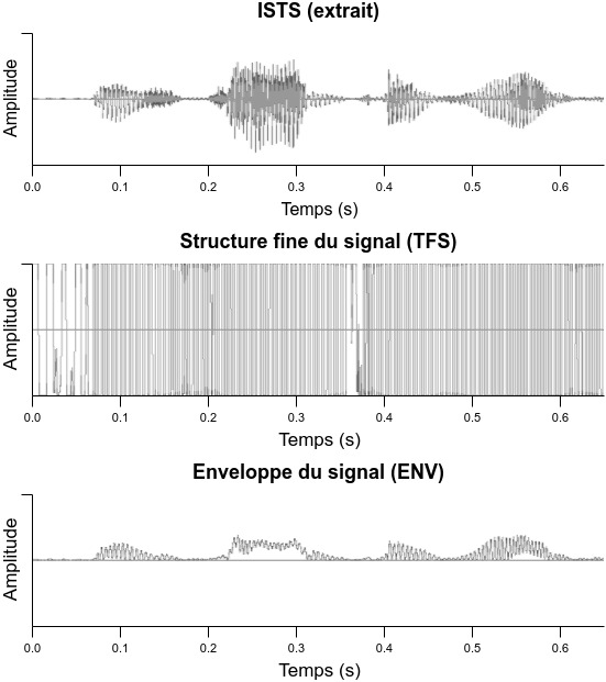 Figure 1: Enveloppe et structure fine d’une forme d’onde extraite de l’ISTS